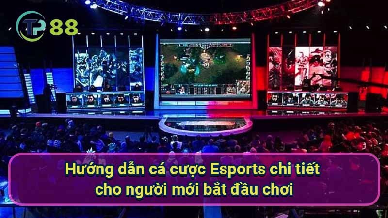 Cá Cược Esports: Hướng Dẫn Người Mới Chi Tiết Từ A Đến Z 3 huong-dan-ca-cuoc-esports-chi-tiet-cho-nguoi-moi-bat-dau-choihuong-dan-ca-cuoc-esports-chi-tiet-cho-nguoi-moi-bat-dau-choi