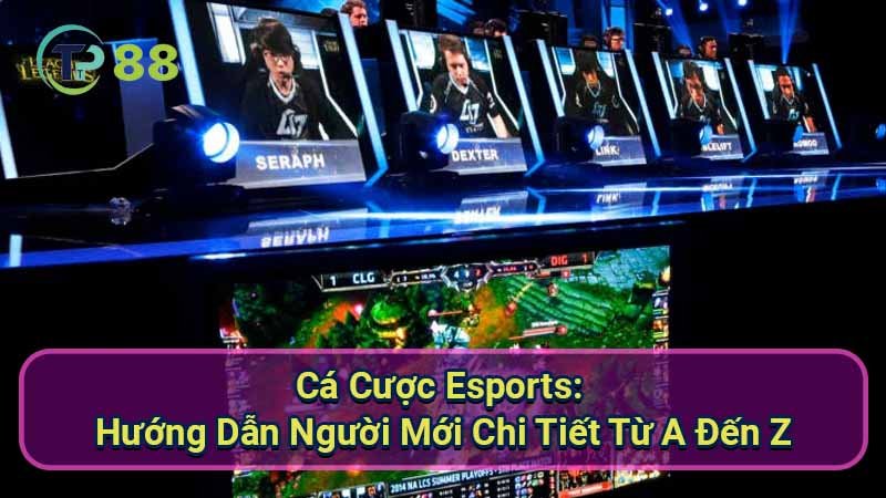 Ca-cuoc-esports
