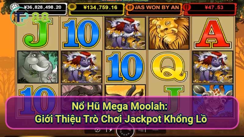 no-hu-mega-moolah:-gioi-thieu-tro-choi-jackpot-khong-lo