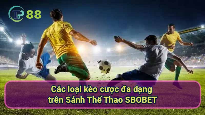 Sảnh Thể Thao SBOBET: Tổng Quan & Điểm Nổi Bật 3 cac-loai-keo-cuoc-da-dang-tren-sanh-the-thao-sbobet