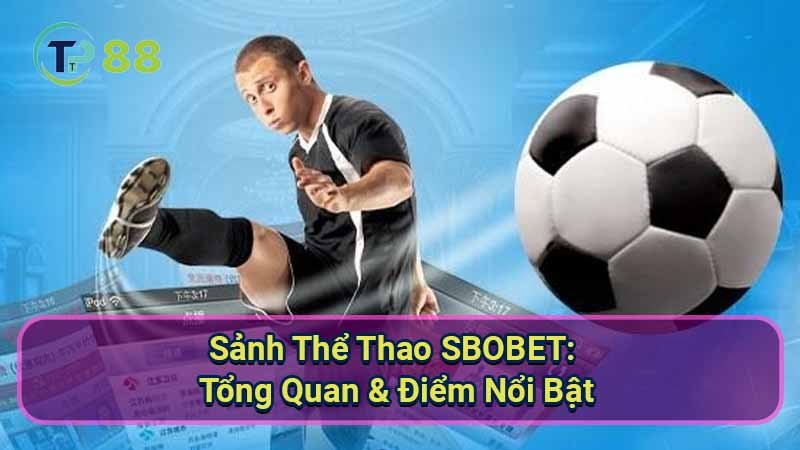 Sanh-The-Thao-SBOBET