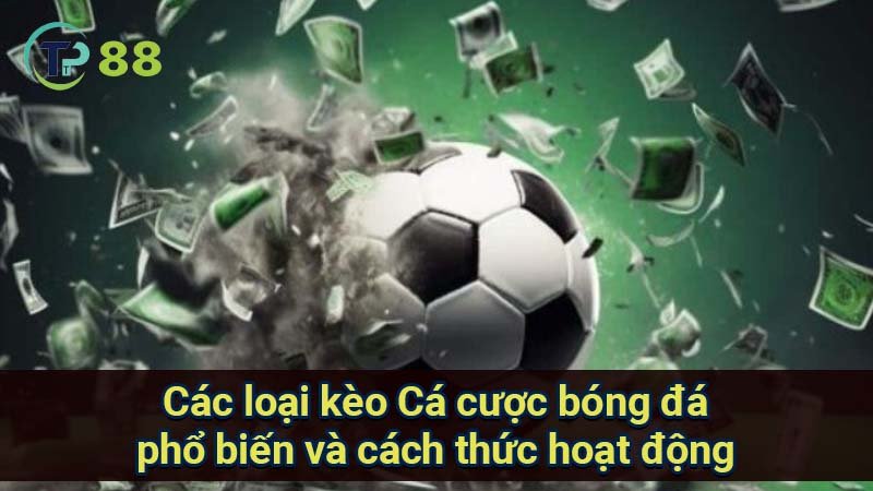 Chiến Lược Cá Cược Bóng Đá Thành Công và Hiệu Quả 3 cac-loai-keo-ca-cuoc-bong-da-pho-bien-va-cach-thuc-hoat-dong