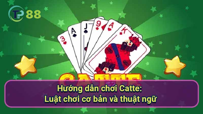 Hướng dẫn chơi Catte chi tiết từ A đến Z từ cao thủ 2 huong-dan-choi-catte:-luat-choi-co-ban-va-thuat-ngu