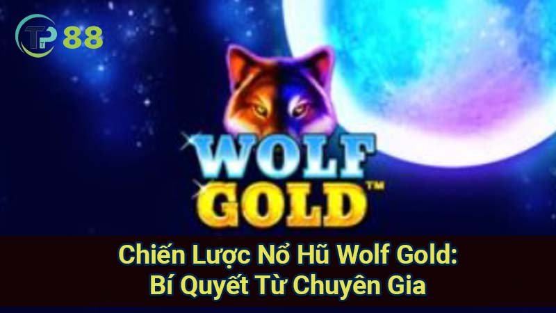 no-hu-wolf-gold