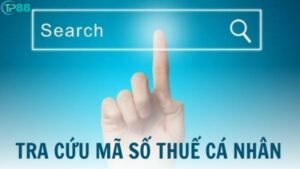 tra-cuu-ma-so-thue-ca-nhan-bang-cccd